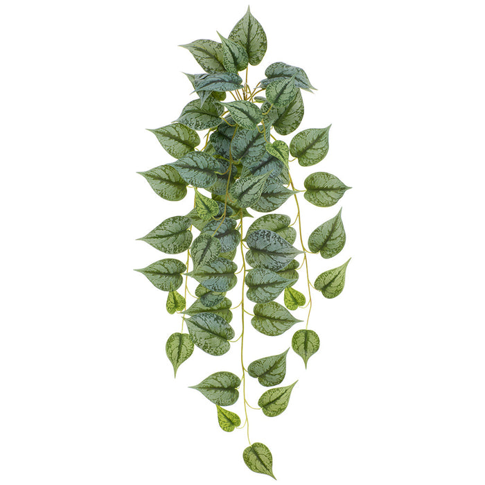 34" Hanging Silk Pothos Plant -Gray/Green (Pack of 2) - PBX003-GY/GR