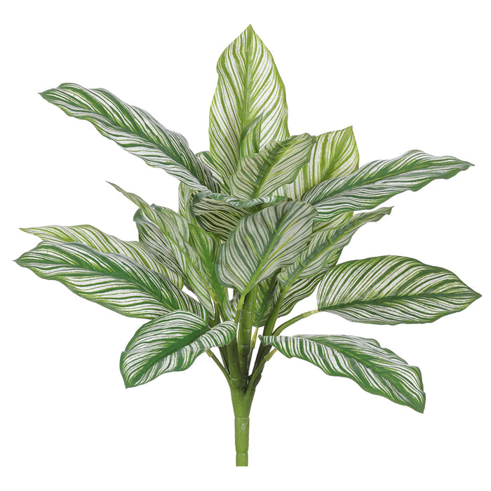 16" Real Touch Zebra Leaf Silk Plant -Green/Variegated (pack of 12) - PBZ007-GR/VG