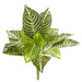 13" Real Touch Zebra Leaf Silk Plant -14 Leaves -Green/Cream (Pack of 12) - PBZ255-GR/WH