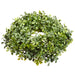 5.5" Artificial Boxwood Candle Ring Holder -Green (pack of 12) - PCB201-GR