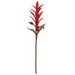 28" Handwrapped Soft Touch Artificial Guzmania Bromeliad Flower Stem -Red (pack of 12) - PF14010-0RE