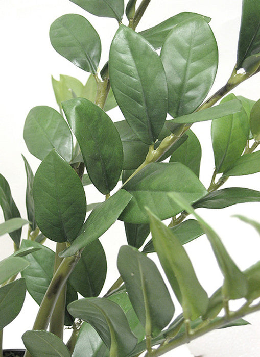 22" Soft-Touch Zanzibar Gem Zamioculcas Succulent Artificial Plant w/Pot -Green - PF-5020