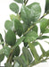 22" Soft-Touch Zanzibar Gem Zamioculcas Succulent Artificial Plant w/Pot -Green - PF-5020