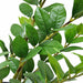 22" Soft-Touch Zanzibar Gem Zamioculcas Succulent Artificial Plant w/Pot -Green - PF-5020