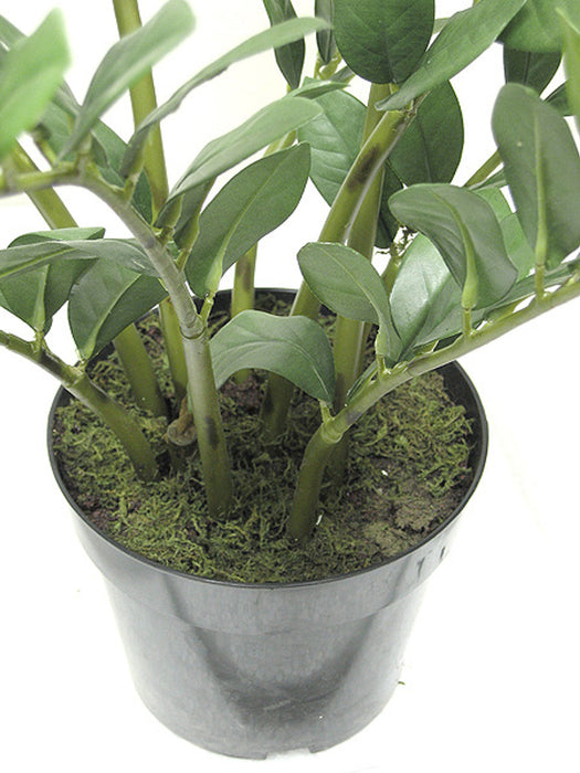 22" Soft-Touch Zanzibar Gem Zamioculcas Succulent Artificial Plant w/Pot -Green - PF-5020