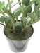 22" Soft-Touch Zanzibar Gem Zamioculcas Succulent Artificial Plant w/Pot -Green - PF-5020