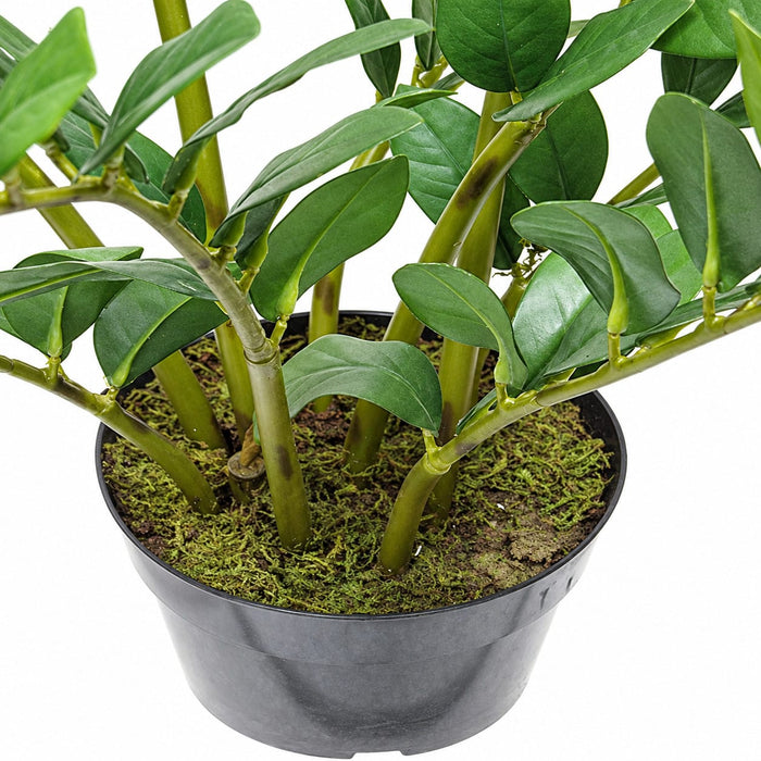 22" Soft-Touch Zanzibar Gem Zamioculcas Succulent Artificial Plant w/Pot -Green - PF-5020