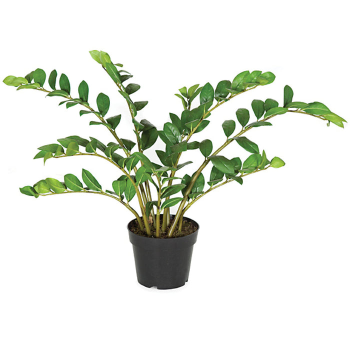 22" Soft-Touch Zanzibar Gem Zamioculcas Succulent Artificial Plant w/Pot -Green - PF-5020