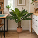 4'3" Flowering Anthurium Silk Plant w/Pot -Green - PF70010