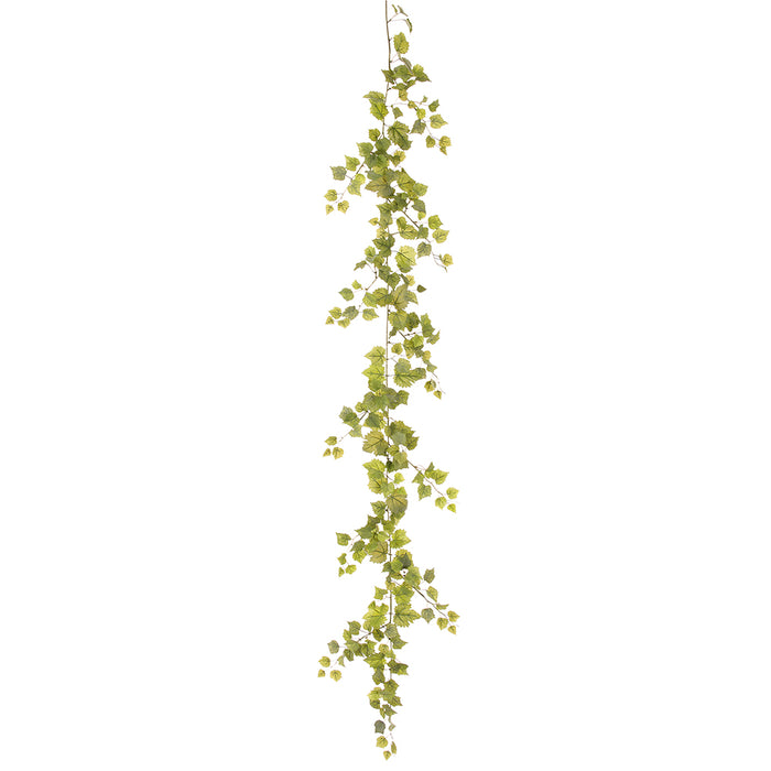 6' Silk Mini Grape Leaf Hanging Garland -Frosted Green (Pack of 12) - PGG263-GR/FS