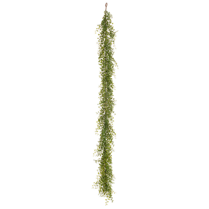 6' PE Soft-Touch Muehlenbeckia Wire Leaf Artificial Garland -Green (Pack of 4) - PGM440-GR