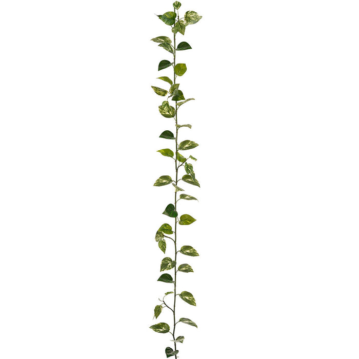 12' Outdoor UV-Resistant Artificial Marble Pothos Leaf Garland -Green/White (Pack of 12) - PGP396-GR/WH