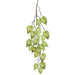 4'2" Heart-Leaf Philodendron Leaf Silk Garland -2 Tone Green (Pack of 12) - PGP569-GR/TT