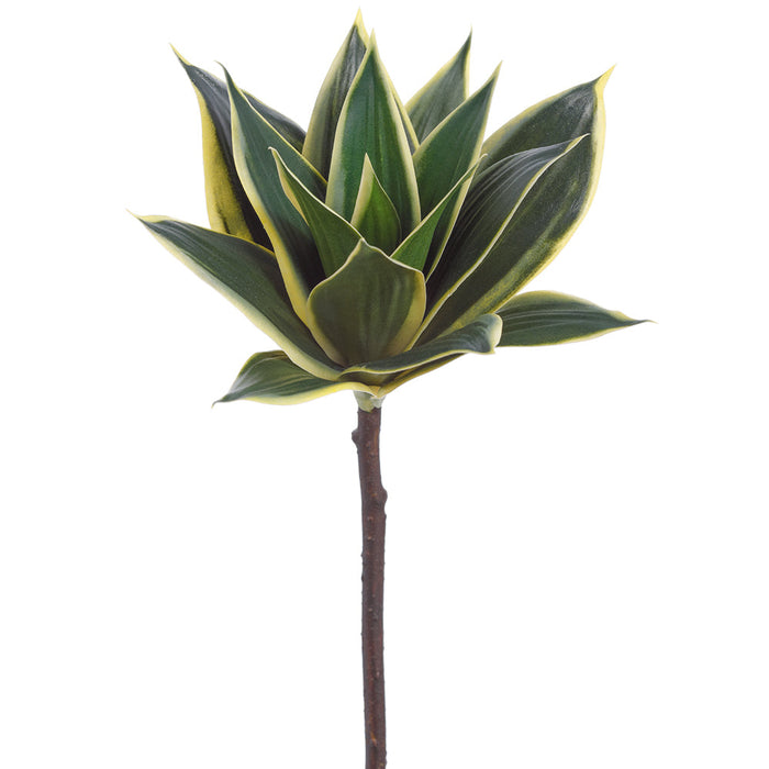 11" Agave Cactus Artificial Stem Pick -Green/Variegated (Pack of 12) - PKA635-GR/VG