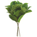 12.5" Lemon Leaf & Berry Silk Stem Pick -Green (pack of 12) - PKL015-GR