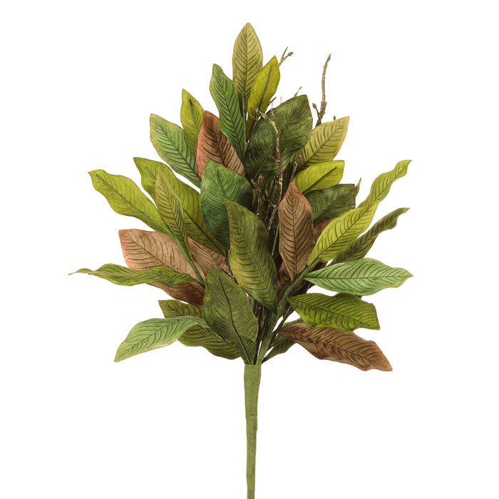 23" Magnolia Leaf Artificial Stem Pick -Green/Brown (pack of 6) - PKM142-GR/BR
