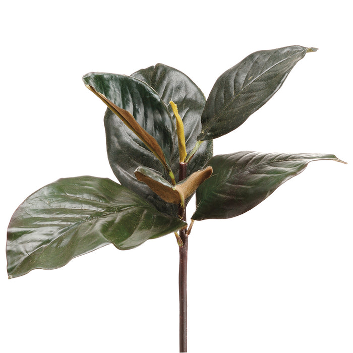 13" Magnolia Leaf Silk Stem -Green (pack of 12) - PKM815-GR