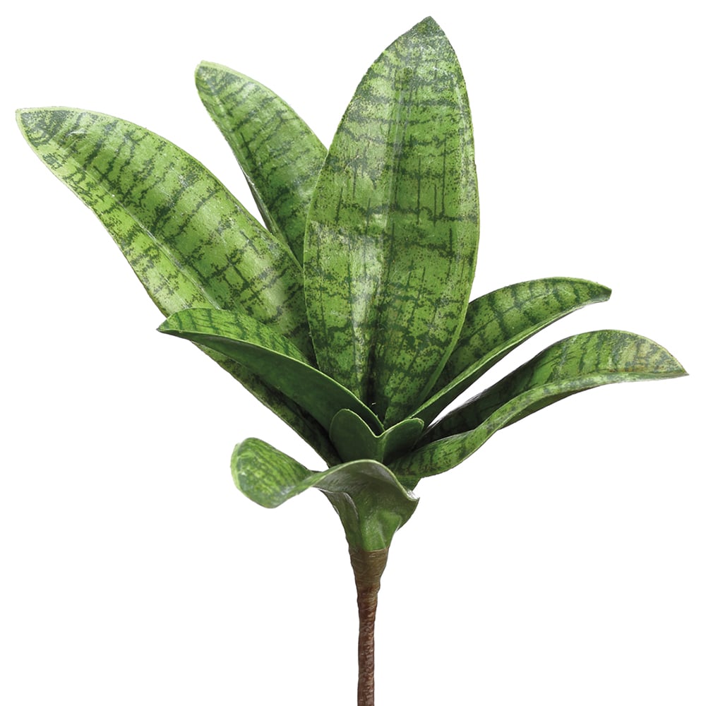 snake plant transparent 7" Artificial Sansevieria Snake Grass Plant -Green — Silks Are Forever