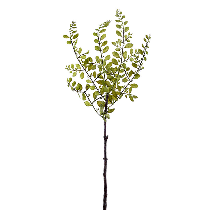 18" Silk Sophora Japonica Leaf Stem Pick -Green (pack of 12) - PKS386-GR