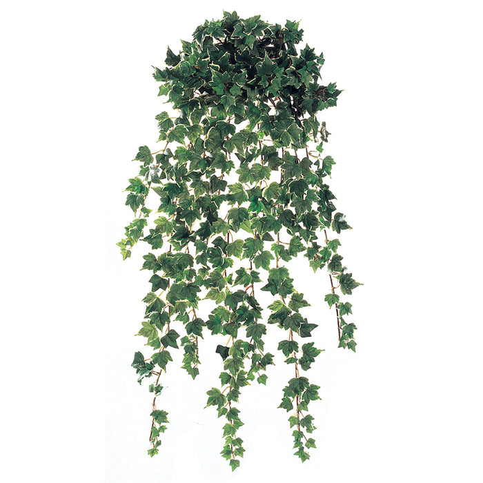 30" Mini Holland Ivy Silk Hanging Plant -Green (pack of 6) - PMH698-