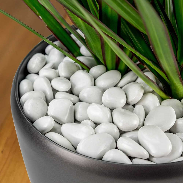 PolyPebbles Polished Plastic Stones Planter Top Dressing