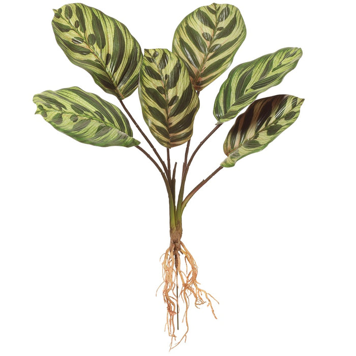 16.5" Arrowroot Maranta Silk Plant -2 Tone Green (pack of 12) - PPA660-GR/TT