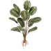 24" Arrowroot Maranta Silk Plant -Green/Yellow (pack of 12) - PPA661-GR/YE