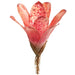 12" Artificial Bromeliad Plant Flower Bush -2 Tone Watermelon (Pack of 12) - PPB084-WM/TT