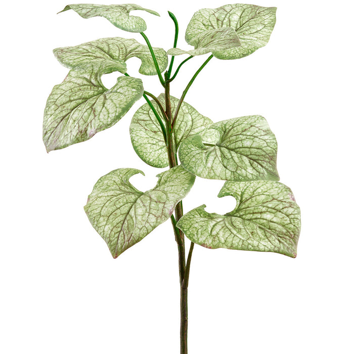 24" Brunnera Leaf Silk Plant -Green/Variegated (Pack of 12) - PPB315-GR/VG