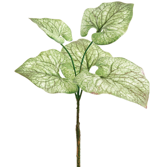 15.5" Brunnera Leaf Silk Plant -Green/Variegated (Pack of 12) - PPB316-GR/VG