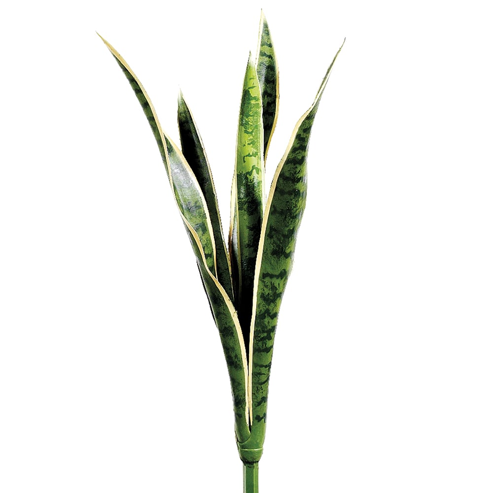 artificial snake plants mixed colors 24