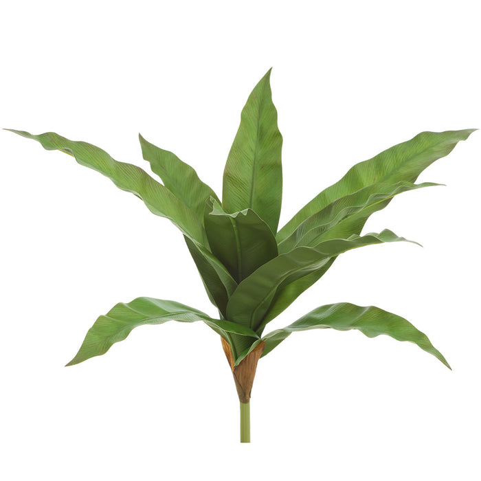 14.5" Bird's Nest Fern Leaf Silk Plant -Green/Brown (Pack of 12) - PPF330-GR/BR