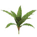 14.5" Bird's Nest Fern Leaf Silk Plant -Green/Brown (Pack of 12) - PPF330-GR/BR