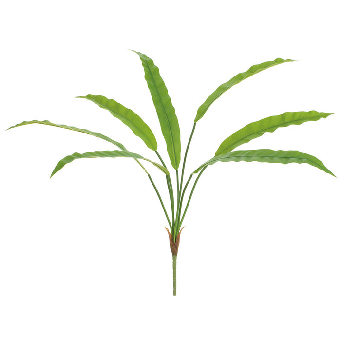 33" Bird's Nest Fern Leaf Silk Plant -Green (Pack of 12) - PPF332-GR