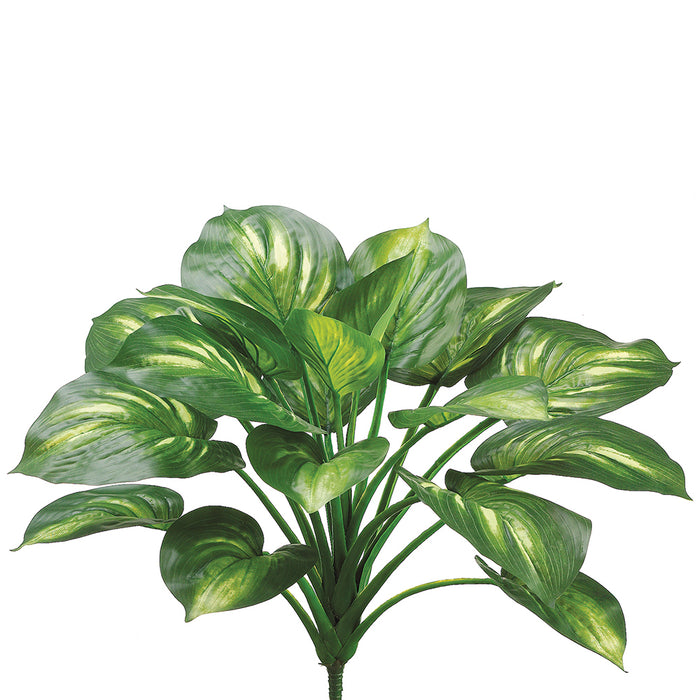 plastic hosta plants 22" EVA Hosta Artificial Plant -Green/Cream (Pack of 6)