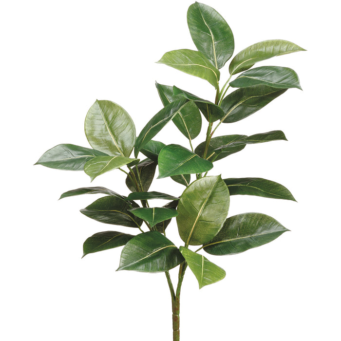 rubber plant vs fiddle leaf fig 2'3" Rubber Leaf Silk Plant -Green