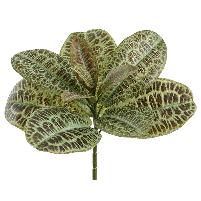 13" Labisia Leaf Silk Plant -Green (Pack of 12) - PPL301-GR