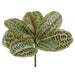 13" Labisia Leaf Silk Plant -Green (Pack of 12) - PPL301-GR