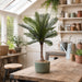 31.5" Sago Cycas Palm Leaf Plant -Green (Pack of 12) - PPP797-GR