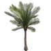 31.5" Sago Cycas Palm Leaf Plant -Green (Pack of 12) - PPP797-GR