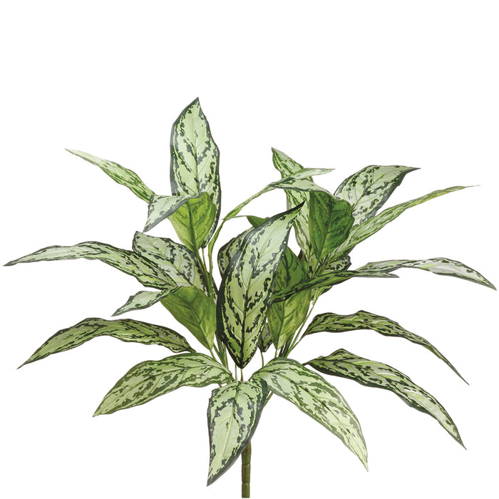 aglaonema two tone 24" Aglaonema Silver Queen Silk Plant -2 Tone Green (Pack of 12)