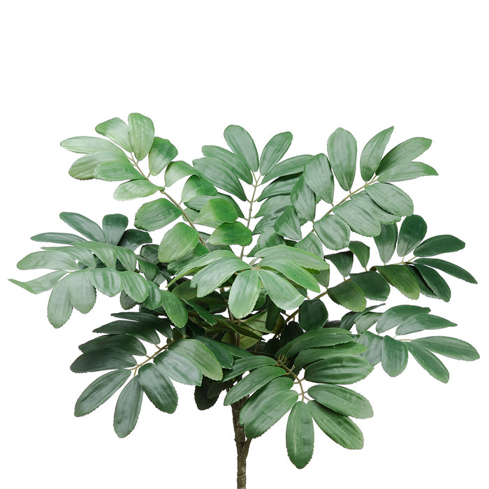 22" Zamia Furfuracea Silk Plant -Green (Pack of 12) - PPZ318-GR