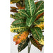 36" IFR Croton Artificial Plant -Red/Green (Pack of 2) - PR110