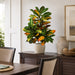 36" IFR Croton Artificial Plant -Red/Green (Pack of 2) - PR110