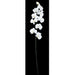 39" IFR Artificial Butterfly Orchid Flower Spray -White (pack of 12) - PR11033-5WH
