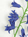 23" IFR Artificial Bluebell Flower Stem -Dark Blue (pack of 12) - PR111670