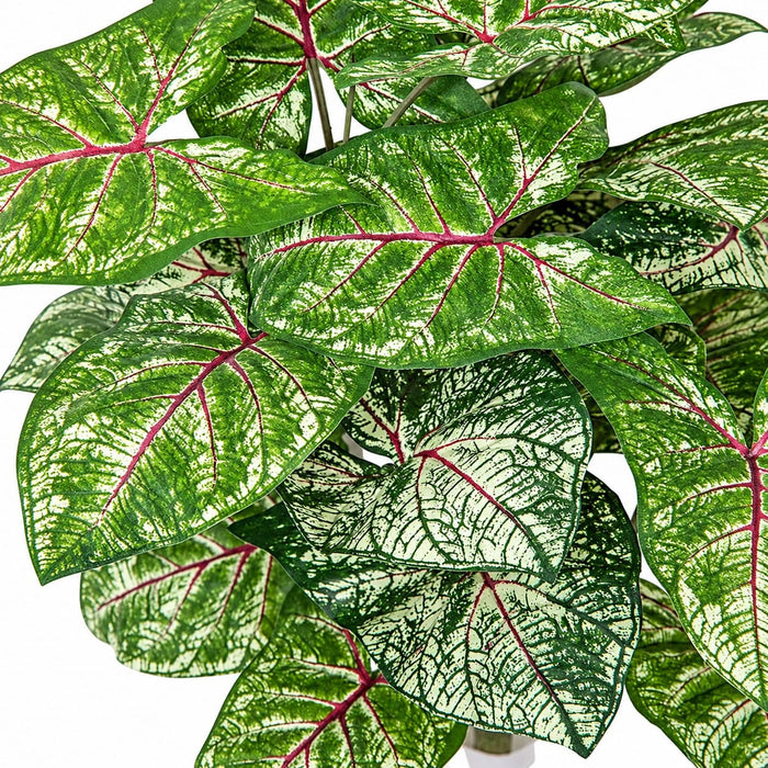 16" IFR Syngonium Leaf Artificial Plant -Green/White (Pack of 12) - PR-150160