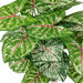16" IFR Syngonium Leaf Artificial Plant -Green/White (Pack of 12) - PR-150160