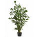 6' IFR Fishtail Artificial Palm Tree w/Pot -Green - PR1570