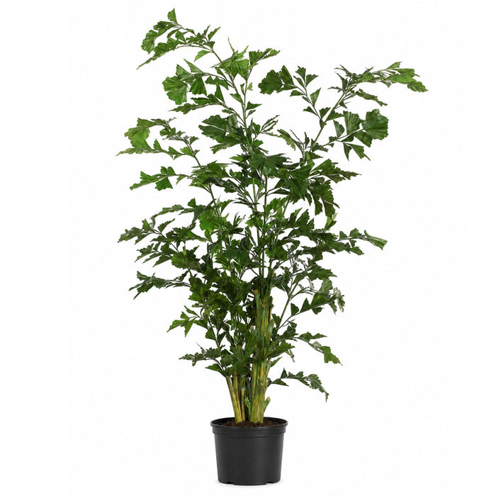8' IFR Fishtail Artificial Palm Tree w/Pot -Green - PR1571
